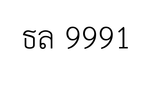 ธล 9991